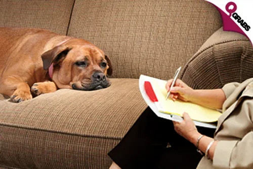 For QR39 Know them Better with an Animal Psychology Online Course! (QR756 Value)